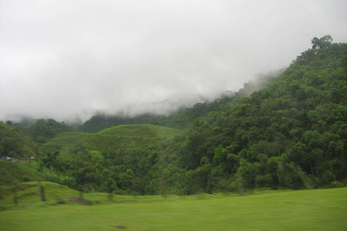 Blick aus dem Busfenster während der Fahrt von Rio de Janeiro nach Foz do Iguazu