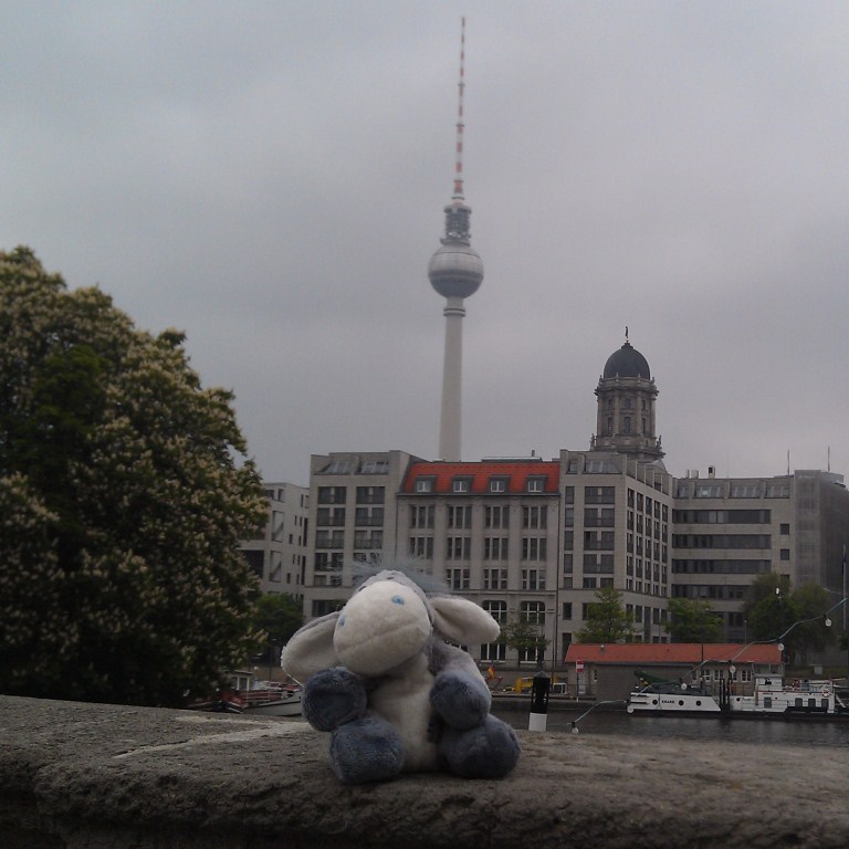 Der Esel in Berlin