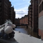 Esel in der Speicherstadt