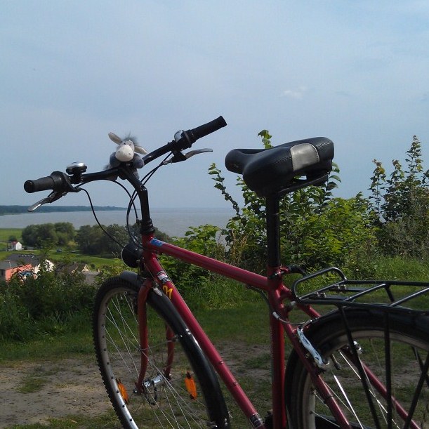Esel auf dem Fahrrad mit Blick aufs Stettiner Haff oberhalb von Kamminke