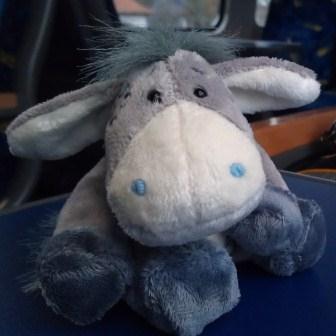 Esel im Zug