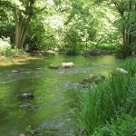 Mitten in Mecklenburg