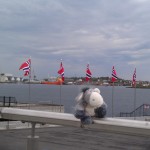 Der Esel am Hafen von Stavanger in der Nähe des Konzertgebäudes