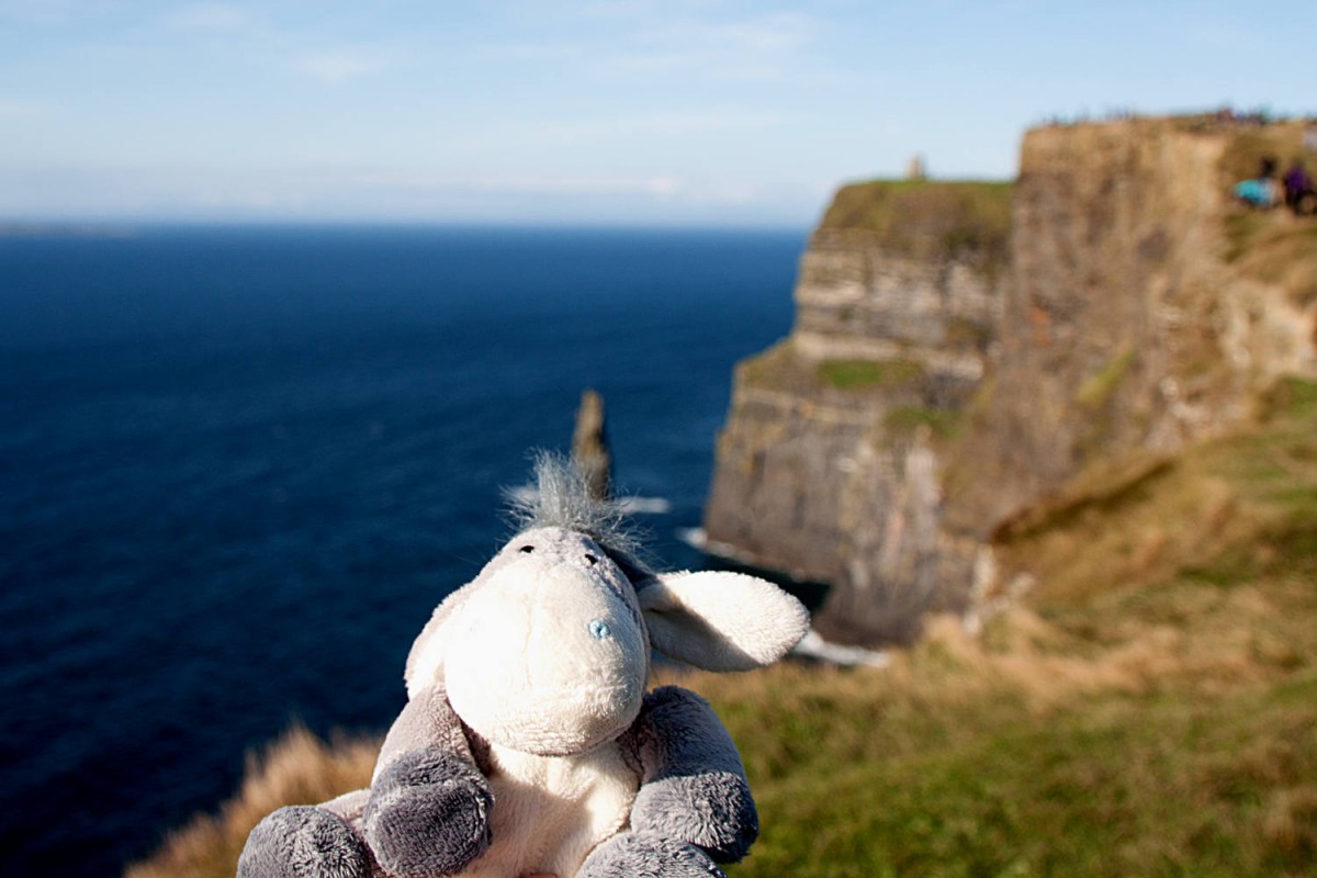 Irland Blogstöckchen - Der Esel an den Cliffs of Moher