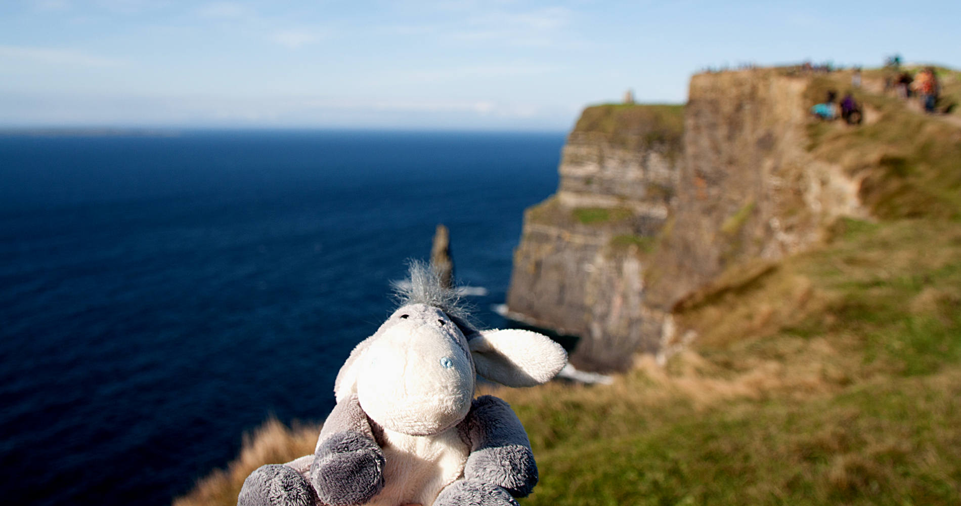 Irland Blogstöckchen - Der Esel an den Cliffs of Moher