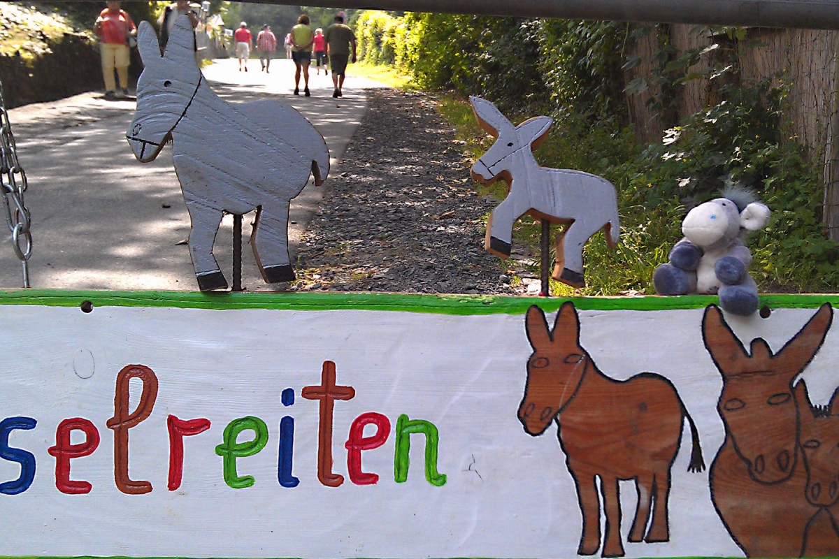 Eselreiten auf der Drachenburg