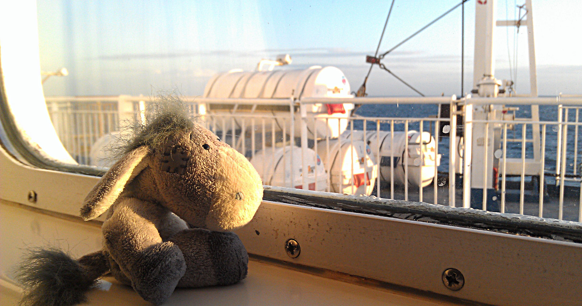 Mini-Kreuzfahrt mit DFDS Seaways - der Esel genießt die Sonne