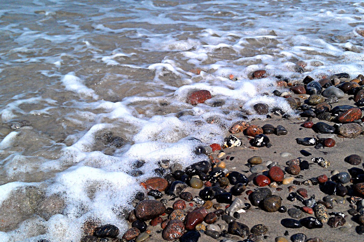 Ufer der Ostsee im April