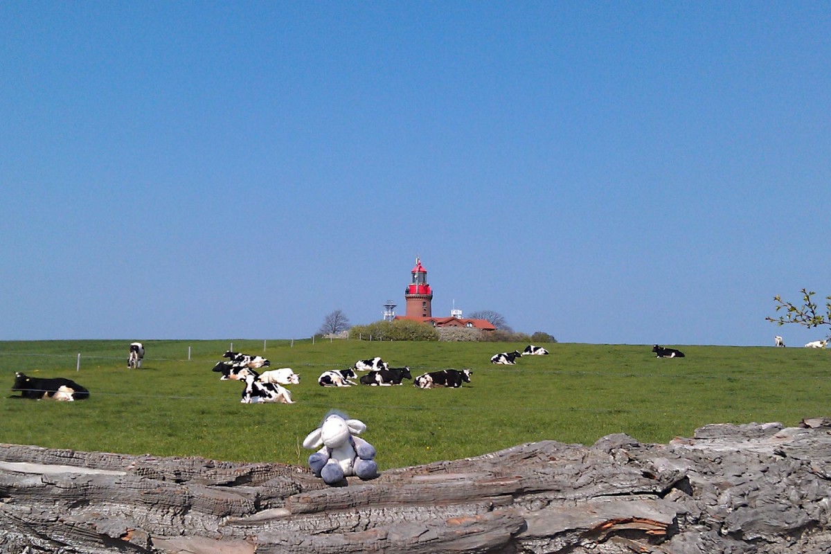 Der Leuchtturm von Bastorf in Mecklenburg-Vorpommern