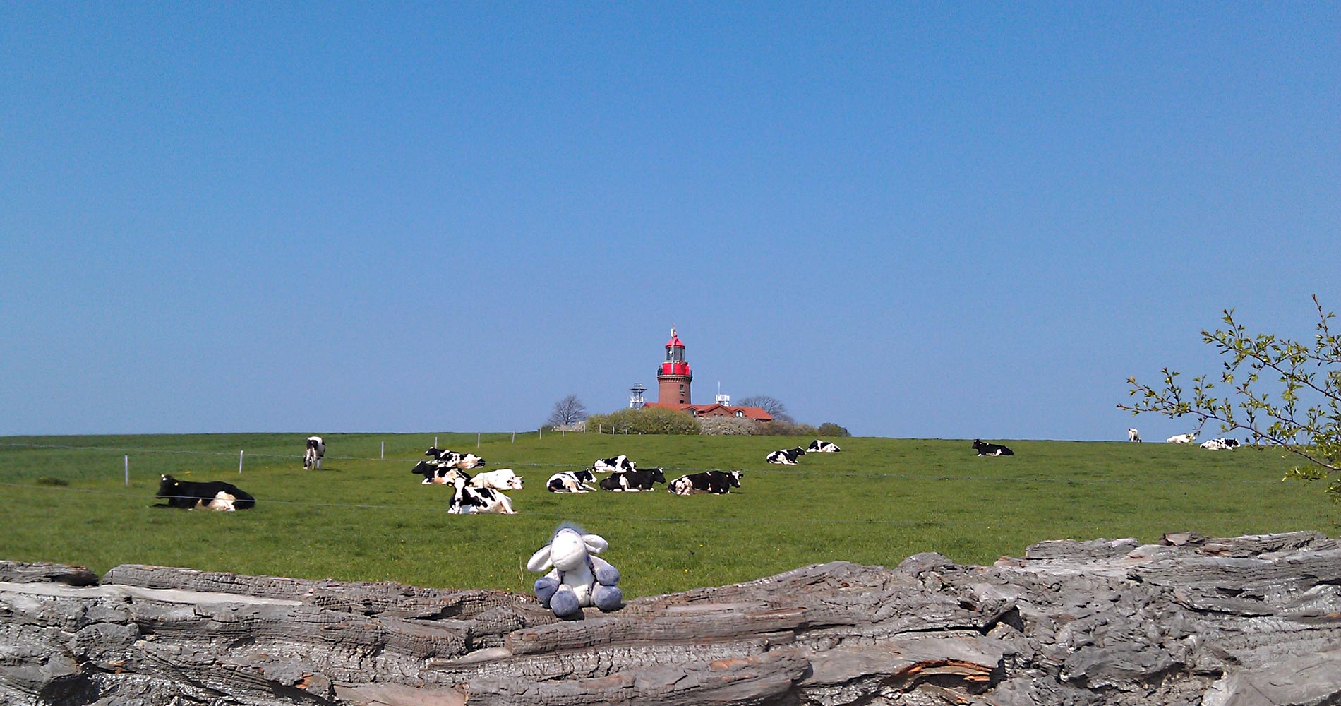 Der Leuchtturm von Bastorf in Mecklenburg-Vorpommern