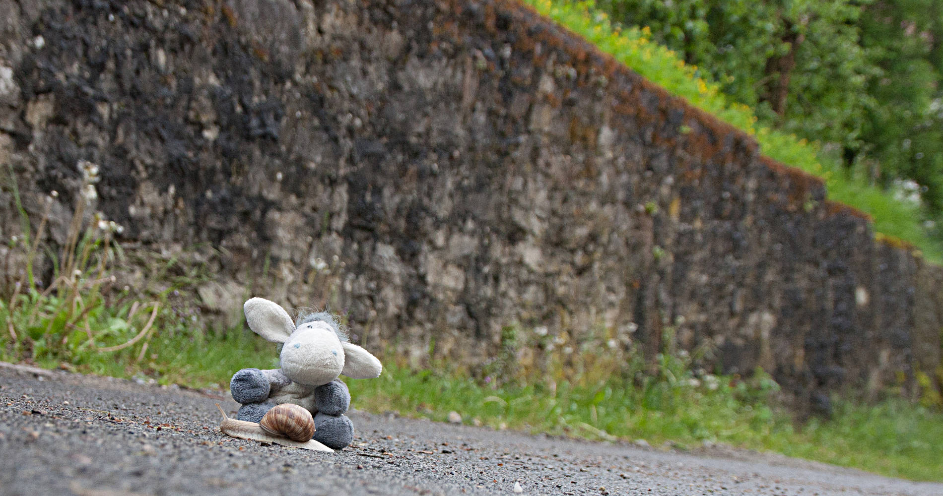 Der Esel trifft auf eine Schnecke am Kulturwanderweg Jagst