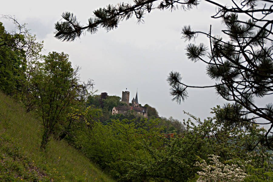 Der Blick auf die Burg Krautheim vom Kulturwanderweg Jagst