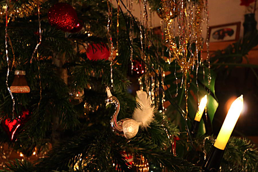Dezember - das Jahr geht zu Ende - mit neuer Kamera und einem ersten Schnappschuss vom Weihnachtsbaum der Schwiegereltern.