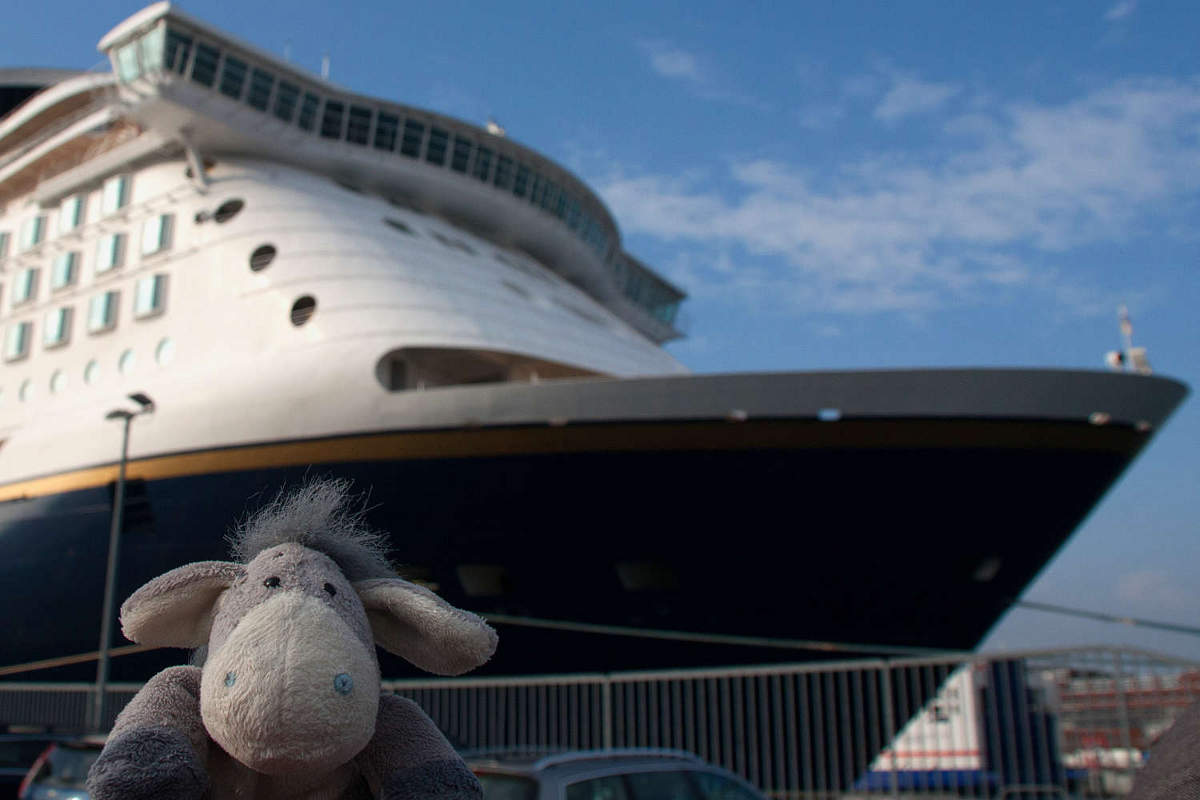 Der Esel unterwegs vor der Color Magic im Hafen von Kiel.