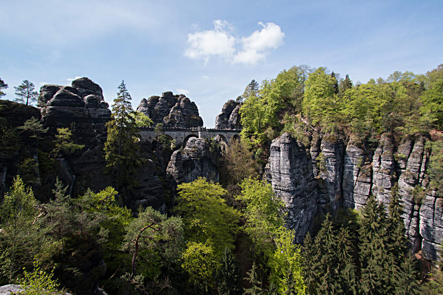 Aussicht auf die Basteibrücke im Elbsandsteingebirge