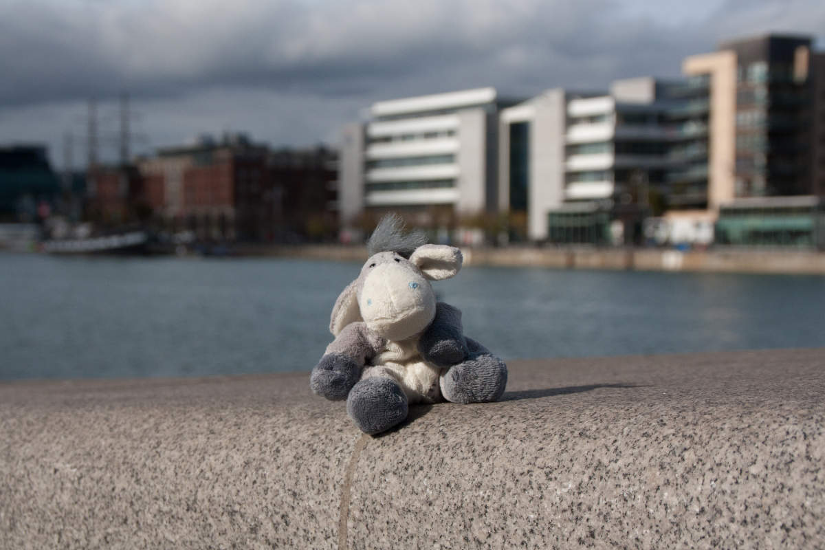 Der Esel am Fluss Liffey in Dublin