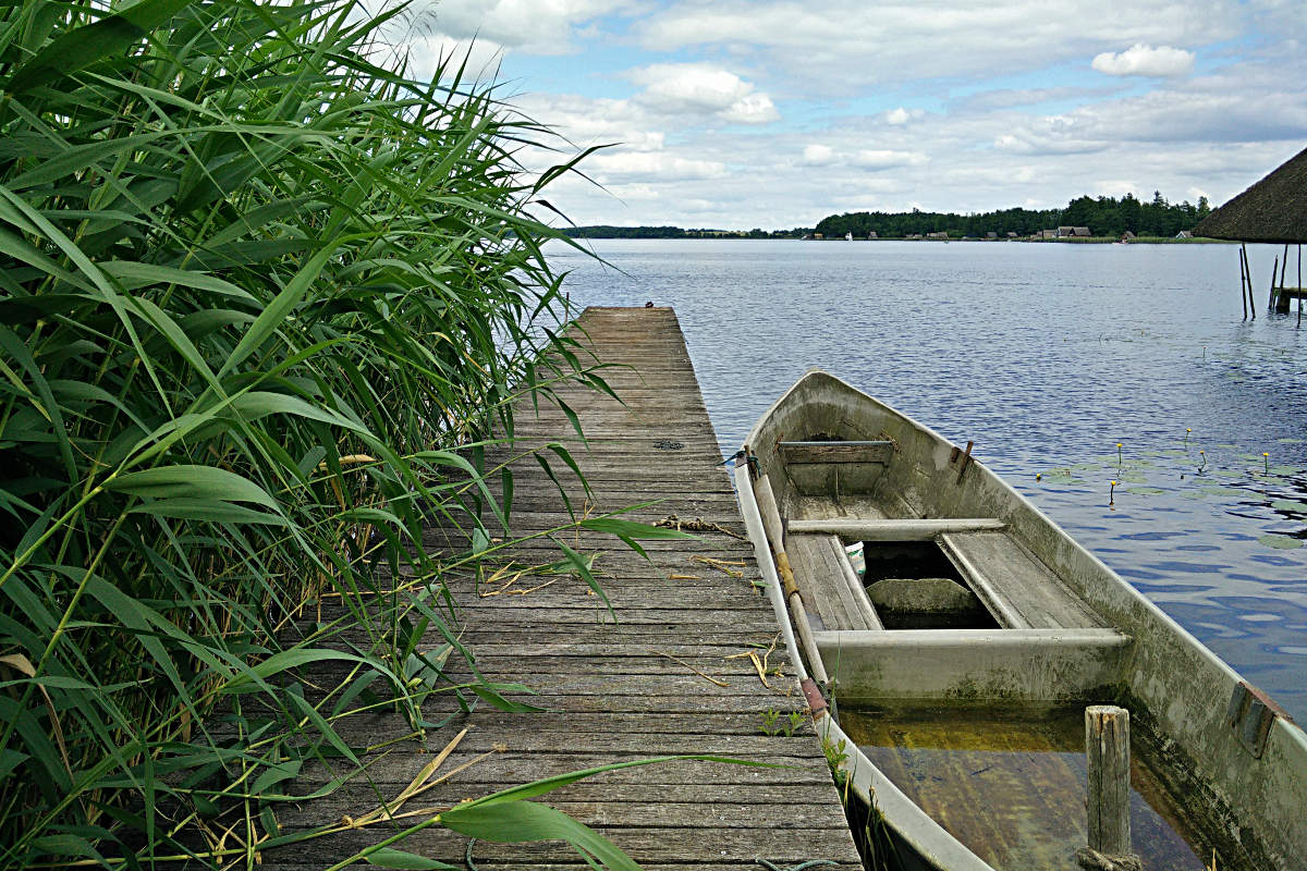 Sinkendes Boot am Krakower See, Mecklenburg