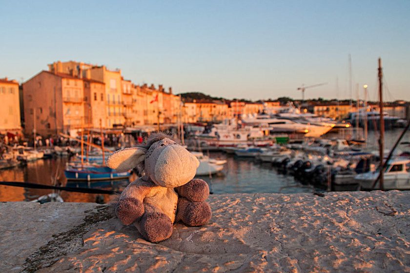 Der Esel vor der Hafenkulisse von St. Tropez