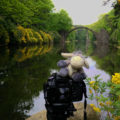 Der Esel unterwegs beim Fotografieren der Rakotzbrücke in Kromlau (c) Carolin Hinz www.esel-unterwegs.de