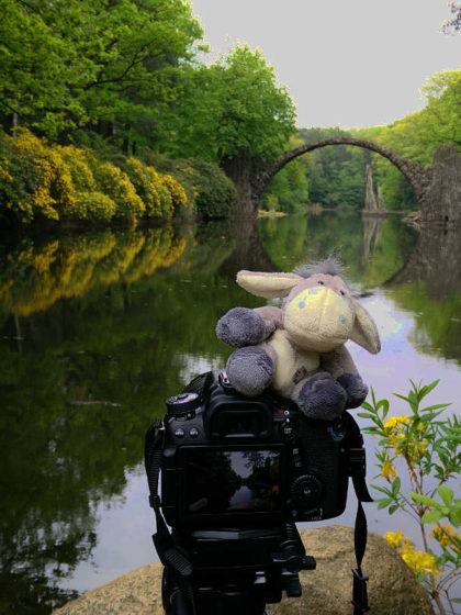 Der Esel unterwegs beim Fotografieren der Rakotzbrücke in Kromlau (c) Carolin Hinz www.esel-unterwegs.de