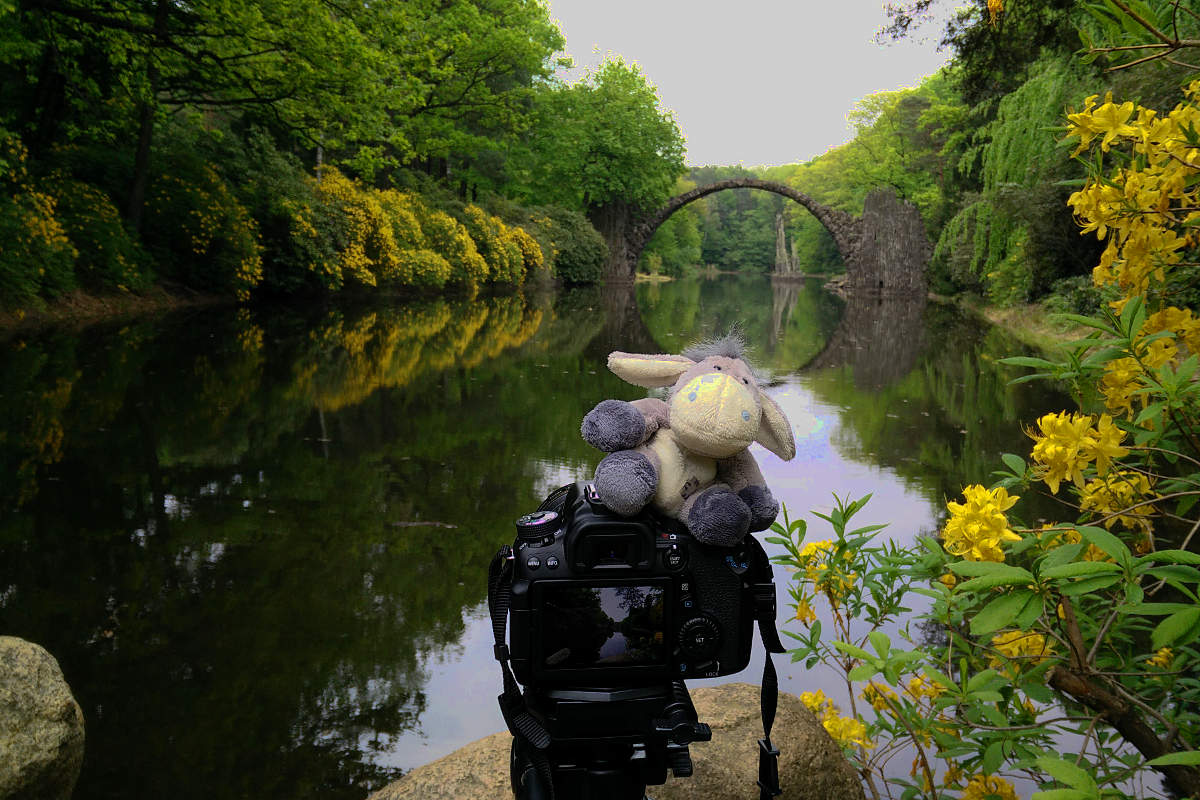 Der Esel unterwegs beim Fotografieren der Rakotzbrücke in Kromlau (c) Carolin Hinz www.esel-unterwegs.de